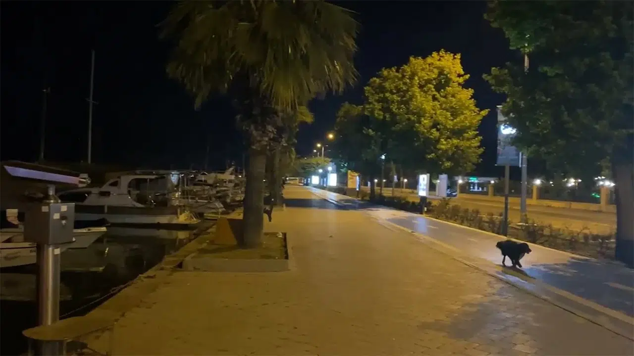 Akdeniz’de 6.0 Büyüklüğünde Deprem