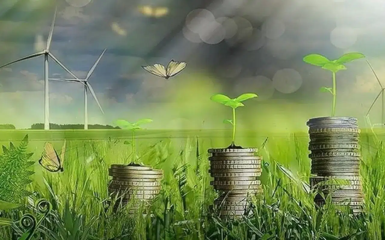 Yeşil Dönüşüme Proje Başına 2 Milyon Lira Destek