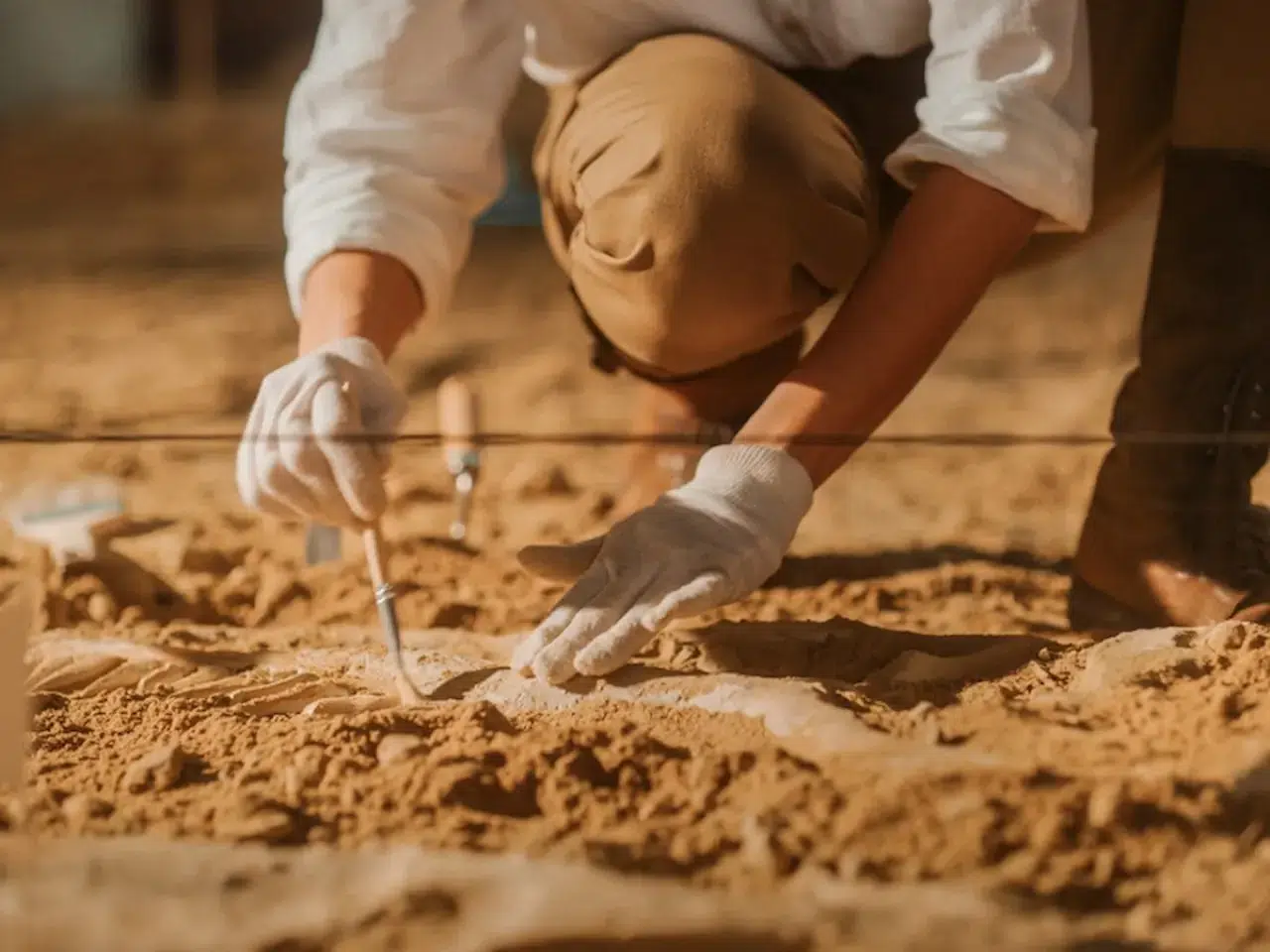Mamutların 13 Bin Yıllık DNA'sı Bilim Dünyası Şaşırttı