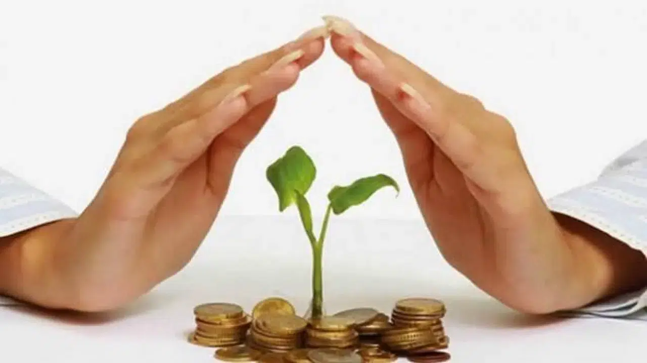 2025'te BES TES ile Hızlı Büyüme Dönemine Girecek
