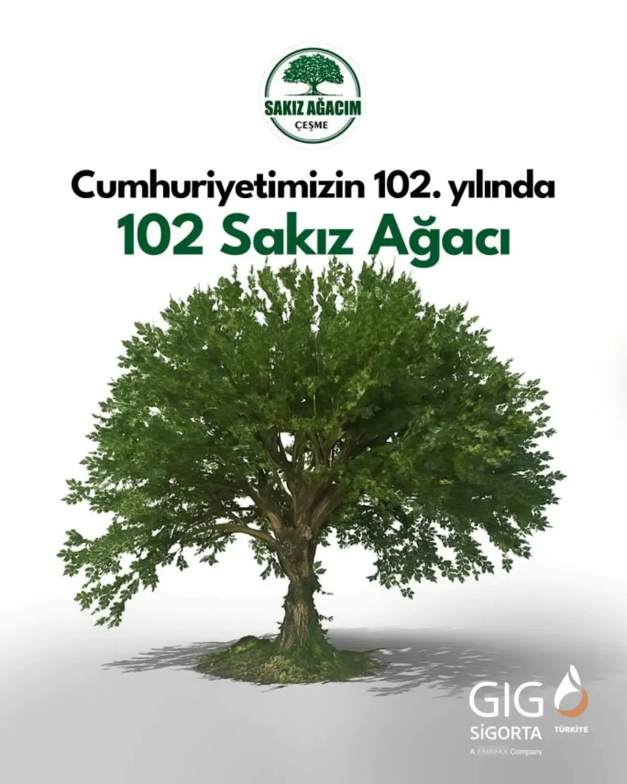 GIG Sigorta'dan Sakız Ağacım Projesi'ne 102 Fidan Bağışı