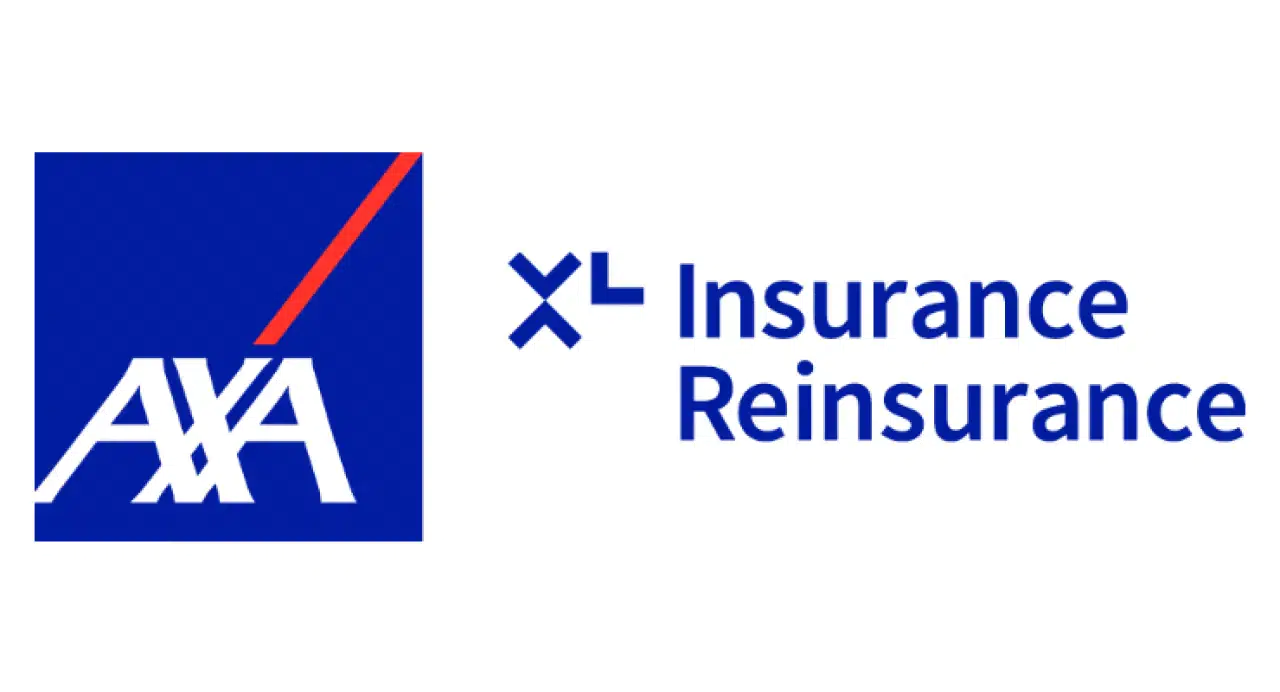 AXA XL'den Siber Sigorta Alanında Atama