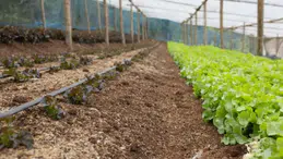Toprak Sağlığını Artıran Projelere Soil Tribes'tan Destek Geldi!
