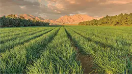 TUI Care Foundation'dan Çok Önemli Hibe Desteği