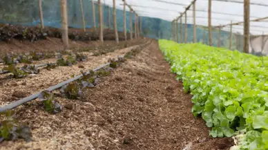 Toprak Sağlığını Artıran Projelere Soil Tribes'tan Destek Geldi!