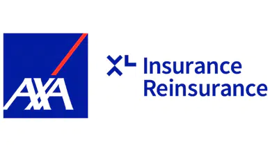 AXA XL'den Siber Sigorta Alanında Atama