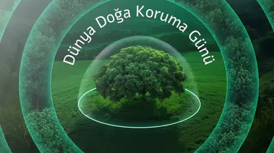 Neova Sigorta Aktif Büyüklüğünü 50 Milyar TL'ye Yaklaştırdı