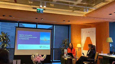 Sigortacılık Sektöründeki Büyüme Dinamiklerinin İncelenmesi