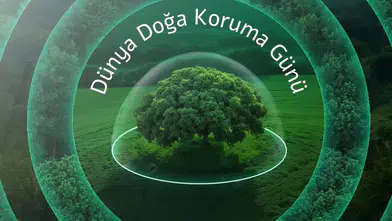 Neova Sigorta Aktif Büyüklüğünü 50 Milyar TL'ye Yaklaştırdı