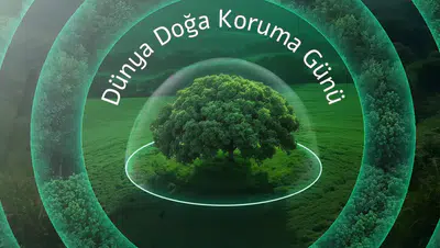 Neova Sigorta Aktif Büyüklüğünü 50 Milyar TL'ye Yaklaştırdı