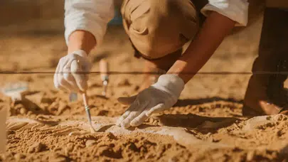 Mamutların 13 Bin Yıllık DNA'sı Bilim Dünyası Şaşırttı