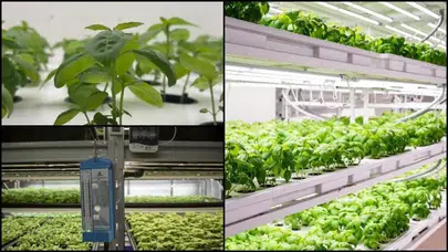 Tarımda Verimliliği Artırmak İçin Teknolojik Yöntemler