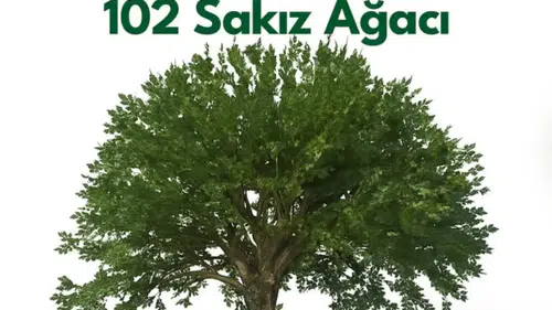GIG Sigorta'dan Sakız Ağacım Projesi'ne 102 Fidan Bağışı