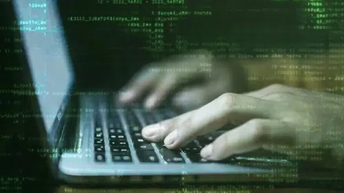 313 Milyon Liralık Dolandırıcılık Skandalı