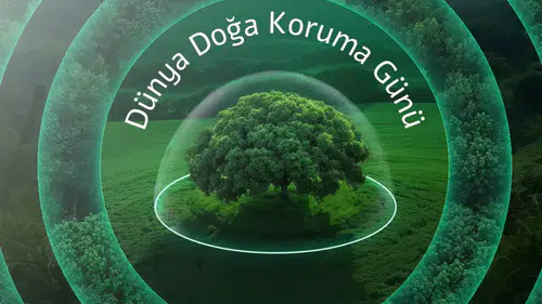 Neova Sigorta Aktif Büyüklüğünü 50 Milyar TL'ye Yaklaştırdı