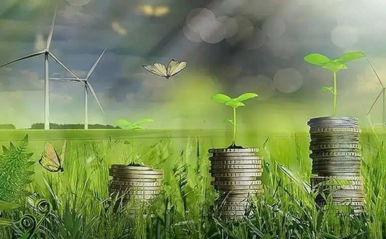 Yeşil Dönüşüme Proje Başına 2 Milyon Lira Destek