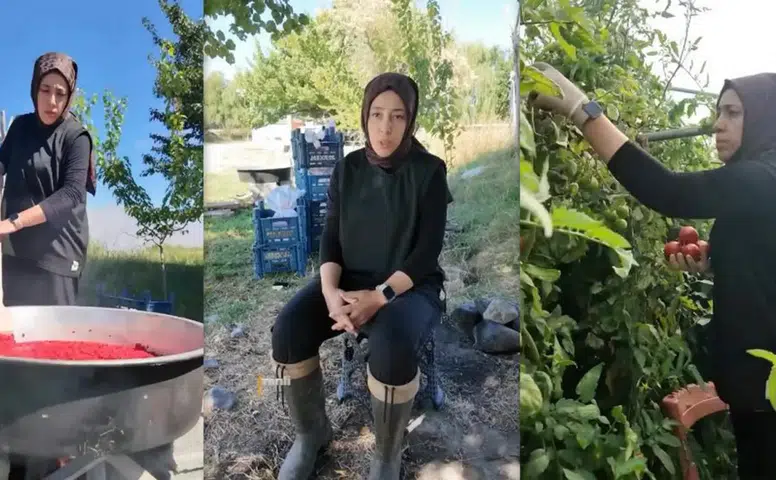 Devlet Desteğiyle Yola Çıktılar Hayatları Değişti
